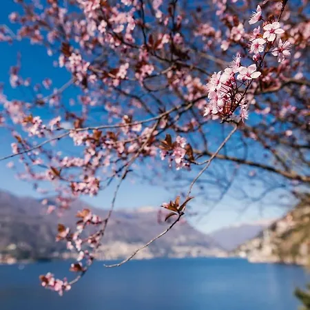 Apartment Crotto Del Nino Feel The Wonderfull Lake *